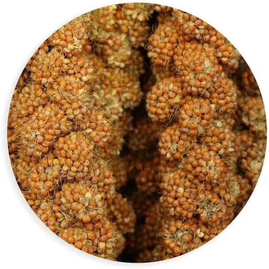 Millet GRAPPES 1KG