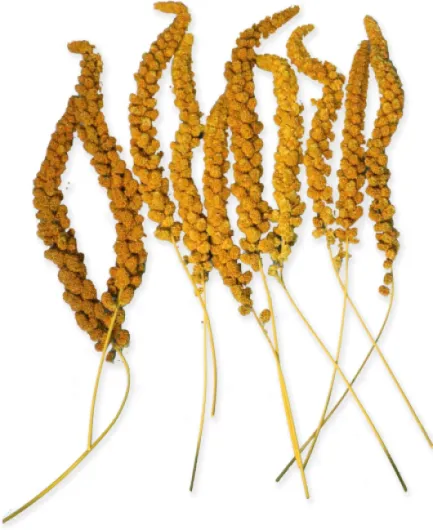 71nnj9KzKCL._AC_SL1500_