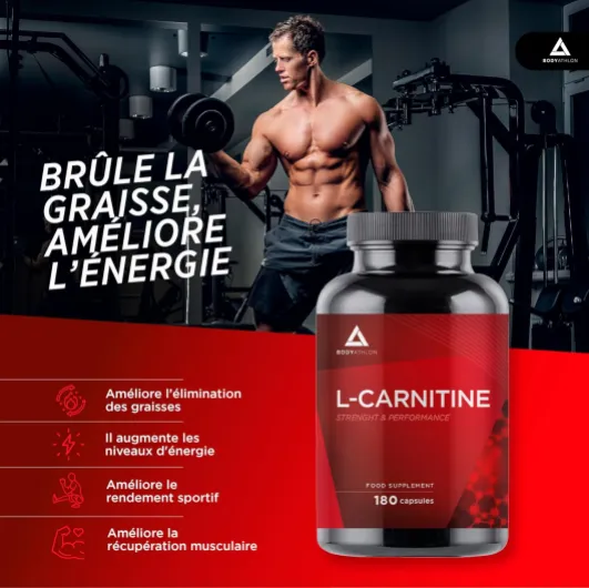 81zF1wwWfdL._AC_SL1500_