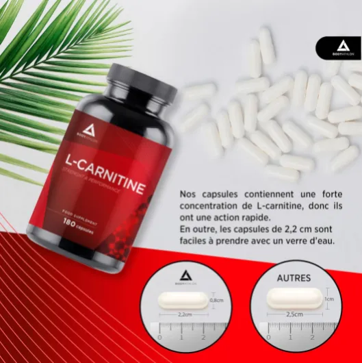 81m0R 0uLNL._AC_SL1500_