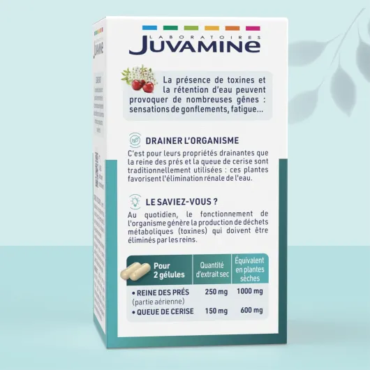 Draineur Actif - Queue de Cerise et Reine des Prés - Favorise l'Elimination Rénale de l'Eau - 50 gélules d'origine végétale - Programme de 25 Jours - Fabriqué en France Incolore 50 gélules