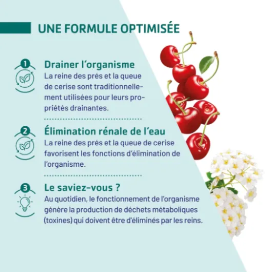 81 GDb9BnpL._AC_SL1500_