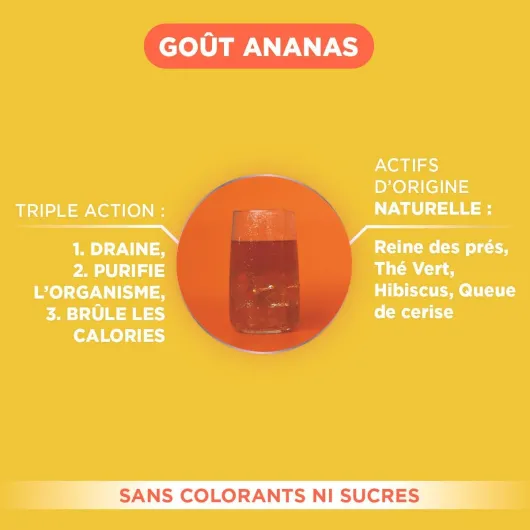 TurboDraine Ananas - Complément Alimentaire à base de Thé vert et Reine des prés - Elimination, Drainage, Brûle-graisse - Lot de 2 x 500 ml Ananas 0.1 ml (Lot de 1000)