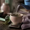 Thé vert et perte de poids : la dose qui fonctionne (et celle qui rend nerveux)
