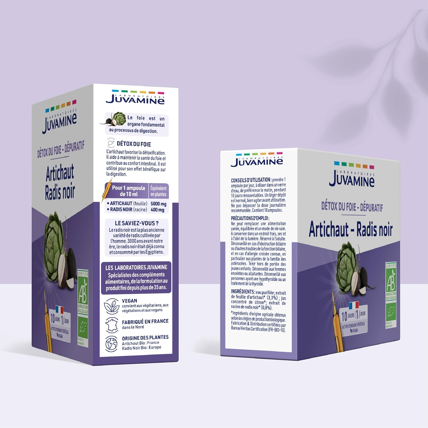 Artichaut Radis Noir - Detox du foie - Dépuratif – Bien-être du foie - Détoxification - Confort Intestinal - 10 ampoules x 10 ml - Programme 10 jours- Certifié BIO - Fabriqué en France 10 ml (Lot de 10) Ampoules