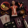 Anatomie et musculation : comprendre son corps pour mieux maigrir